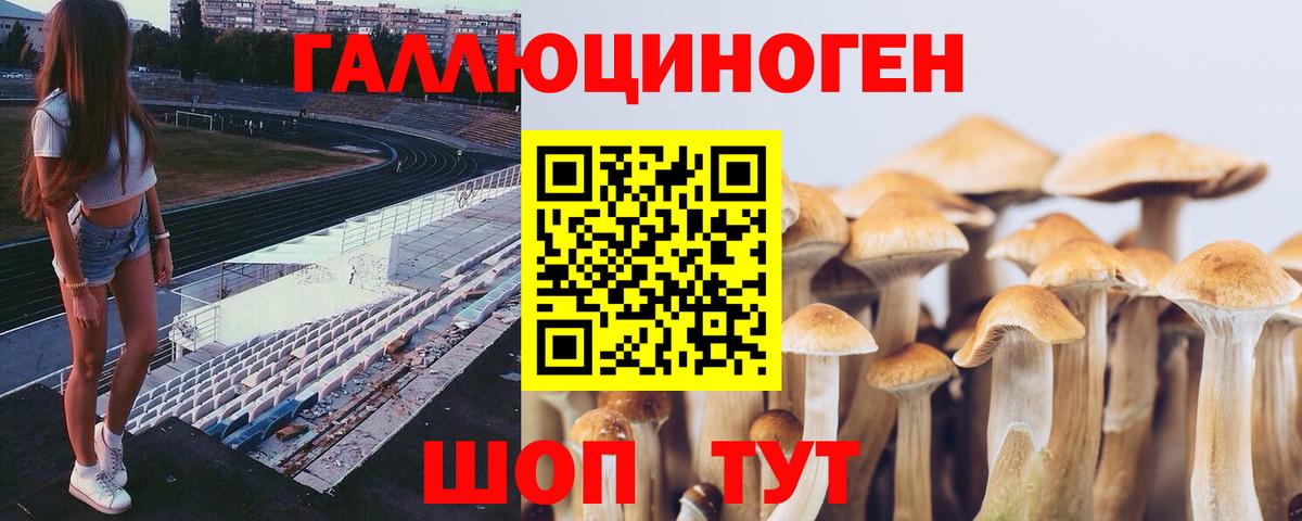 Галлюциногенные грибы Magic Shrooms  Галлюциногенные грибы Magic Shrooms  Вход с VPN  Мариинск 
